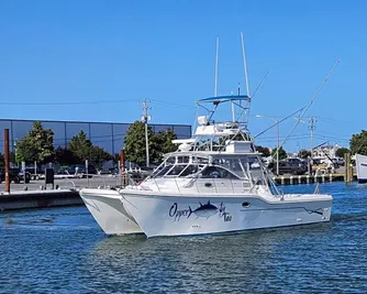 Baha 313 Weekender boats for sale - Boat Trader