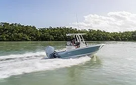 2024 Boston Whaler 250 Dauntless