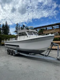 2002 Osprey 26’ Canyon Runner