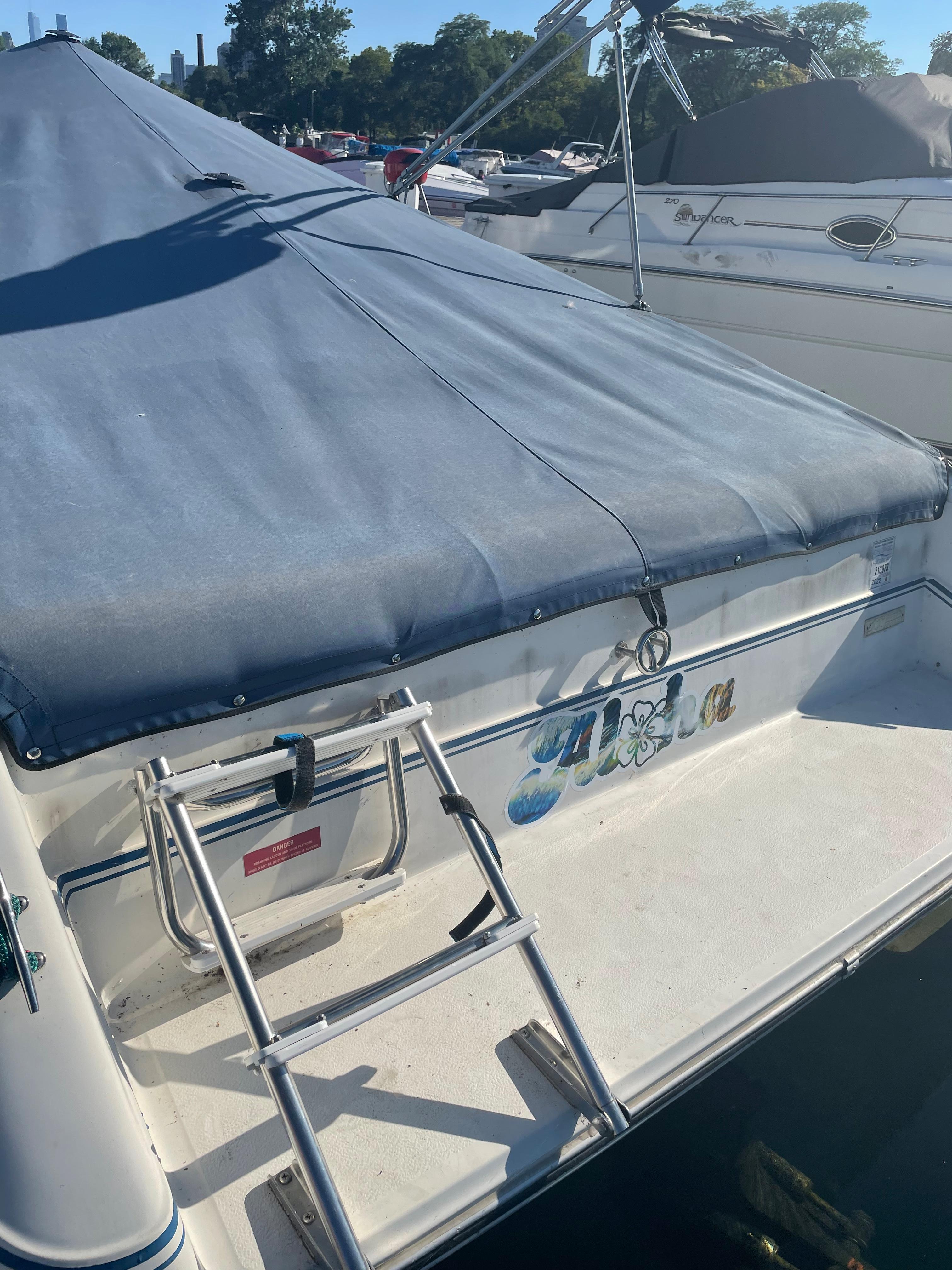 Used 1989 Sea Ray 220 OV Overnighter, 60614 Lincoln Park - Boat Trader