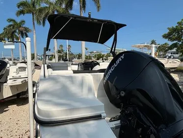 2018 Bayliner 190