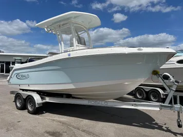 Buying a trailerable sport fishing boat 