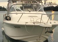 2008 Scout 295 Abaco