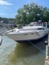 1987 Sea Ray Sundancer