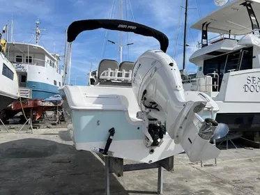 2024 Sea Pro 222