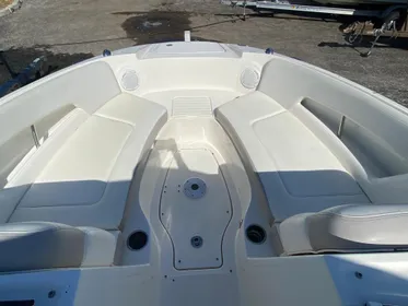 2012 Sea Ray 240 Sundeck