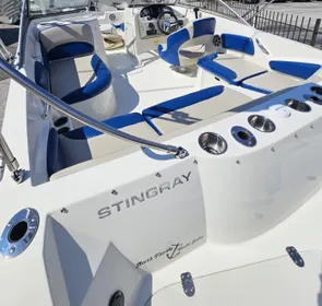 2017 Stingray 201DC