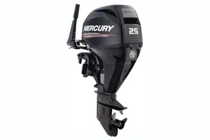 2019 Mercury Fourstroke 25 hp EFI