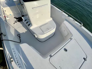 2007 Tidewater 1900 Bay Max