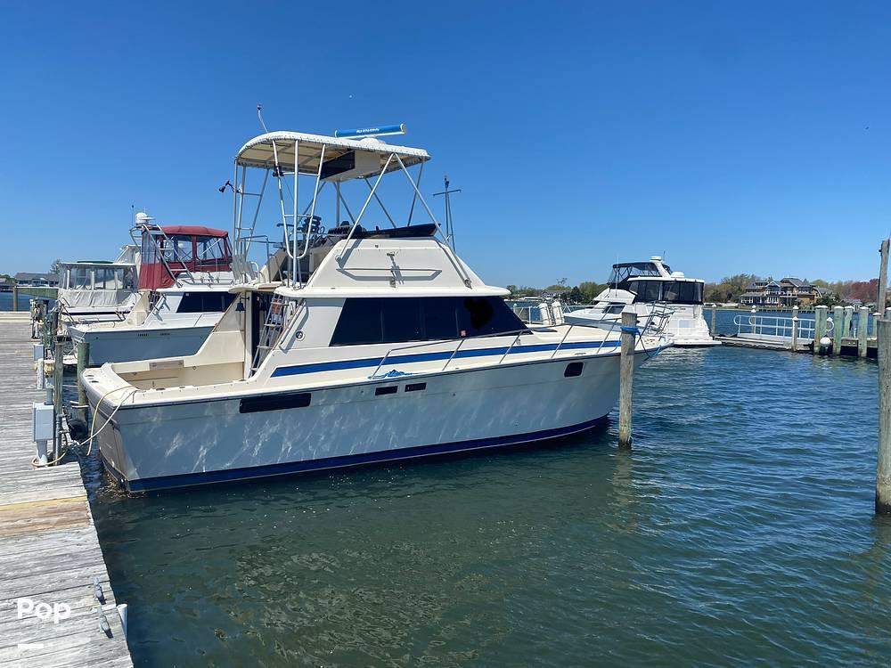 1980 Silverton 37 Convertible for sale in Lindenhurst, NY