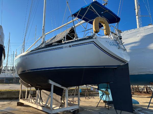 Monohull sailboat online for sale