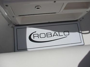 2024 Robalo R200 In stock trailer included Rebate expires 07/