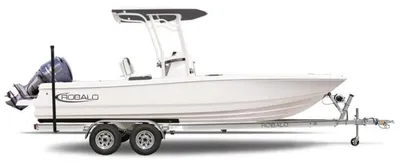 2024 Robalo 246 Cayman