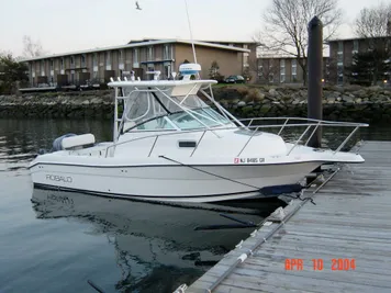 2002 Robalo w