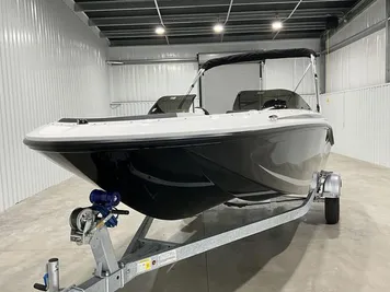 2024 Bayliner Element M17