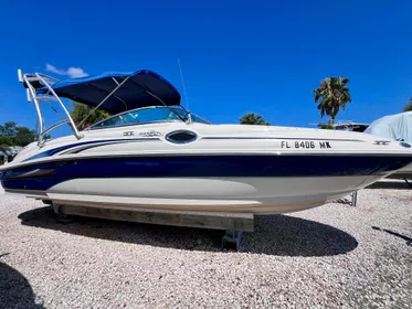 2004 Sea Ray 240 Sundeck 2021 MERC 383