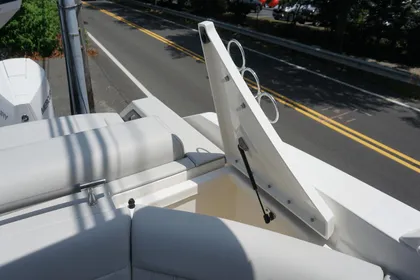 2024 Sea Ray 310 SLX Outboard