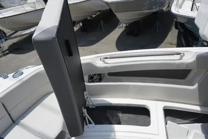 2024 Sea Ray 310 SLX Outboard