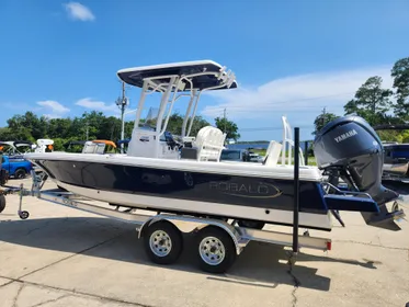 2024-ROBALO-226-CAYMAN