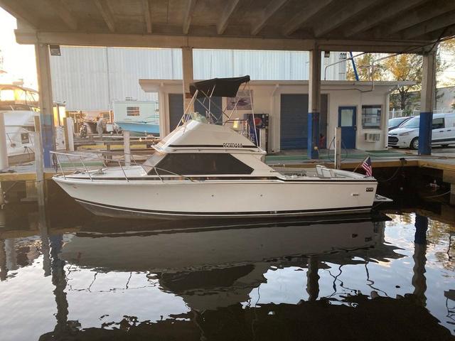 Explore Bertram 35 boats for sale - Boat Trader