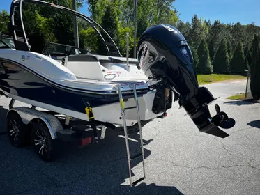 2024 Sea Ray SPX 190 Outboard