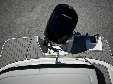 2024 Sea Ray SPX 190 Outboard