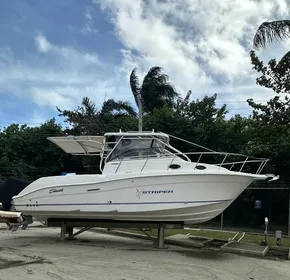 2006 Striper 2901 Walkaround