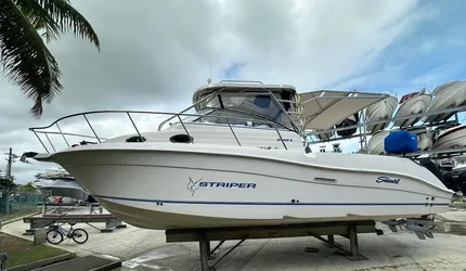 2006 Striper 2901 Walkaround