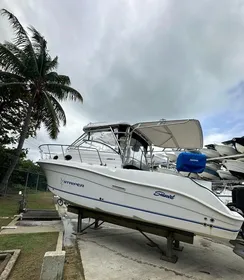 2006 Striper 2901 Walkaround