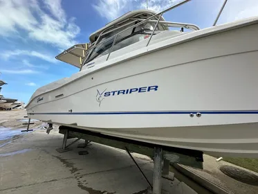 2006 Striper 2901 Walkaround