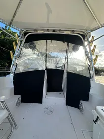 2006 Striper 2901 Walkaround