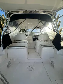 2006 Striper 2901 Walkaround