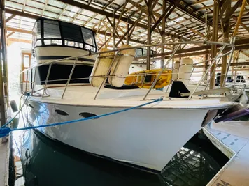 Bluewater Sportfishing Boats for sale in Thornton - Boat Trader