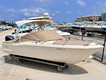 2015 Scout 245 Dorado