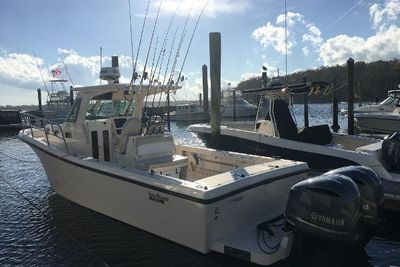 2016 True World Marine 289 Outboard