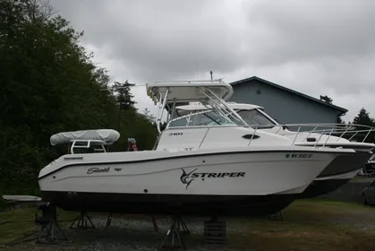 2005 Seaswirl Striper 2101 Walkaround I/O