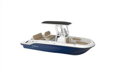 2024 Bayliner T20CC