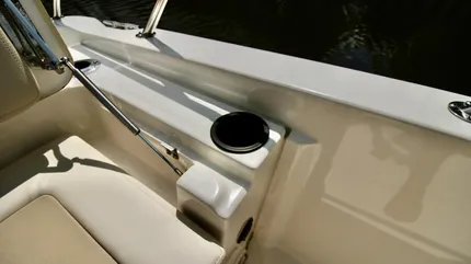 2019 Boston Whaler Dauntless