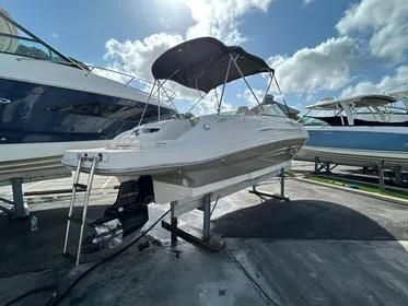 2007 Sea Ray 220 Sundeck