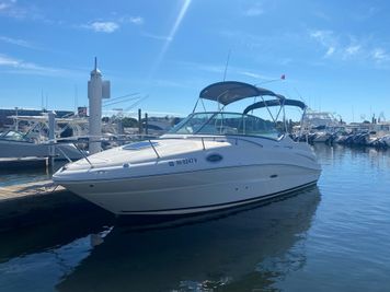 2010 Sea Ray 240 Sundancer