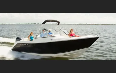 2024 Cobia 220 DC