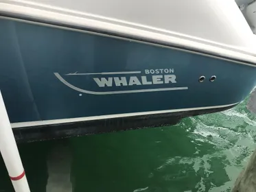2008 Boston Whaler 320 Outrage Cuddy Cabin