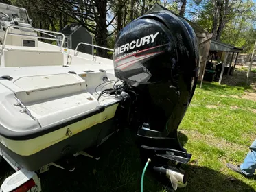 1999 Boston Whaler 18 Dauntless