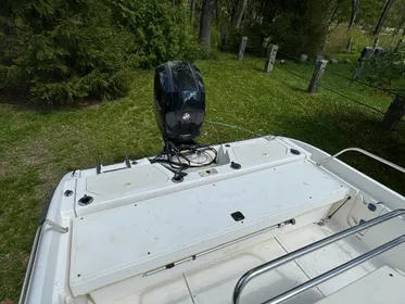 1999 Boston Whaler 18 Dauntless