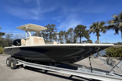 2023 Scout 251 XSS