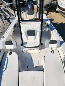 2024-ROBALO-226-CAYMAN