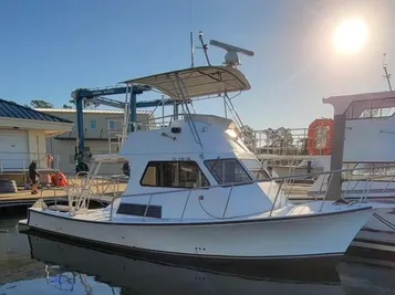 2017 Newton 36' Dive Boat
