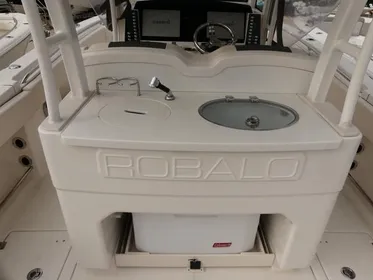2017 Robalo R302