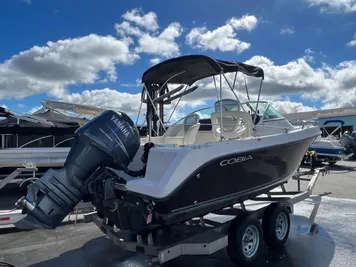 2009 Cobia 215 DC