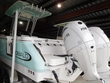 2024 Robalo R 250 center console